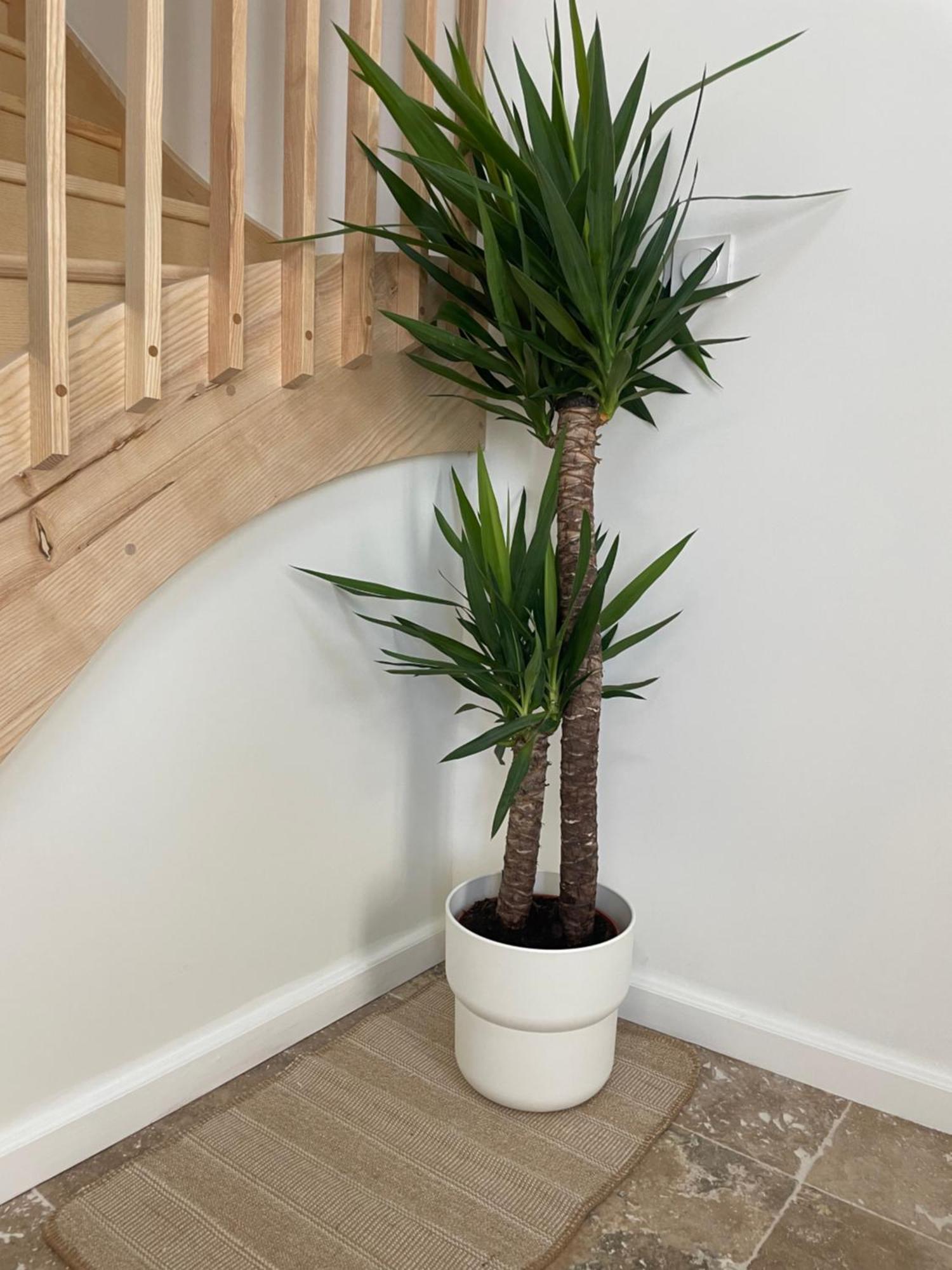 Appartamento L Magnifique Duplex Climatise Sète